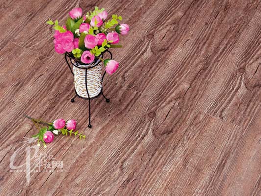 欧诺莱思KN6604效果图