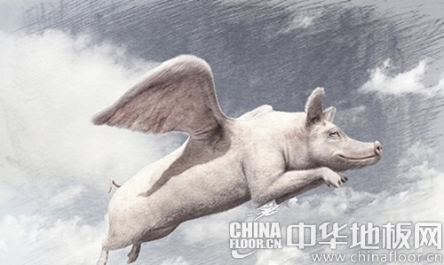 风口论又有新动作 地板企业不能做那只跟风的